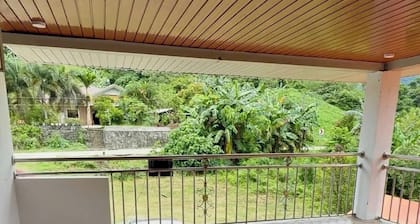 The Meadow View House