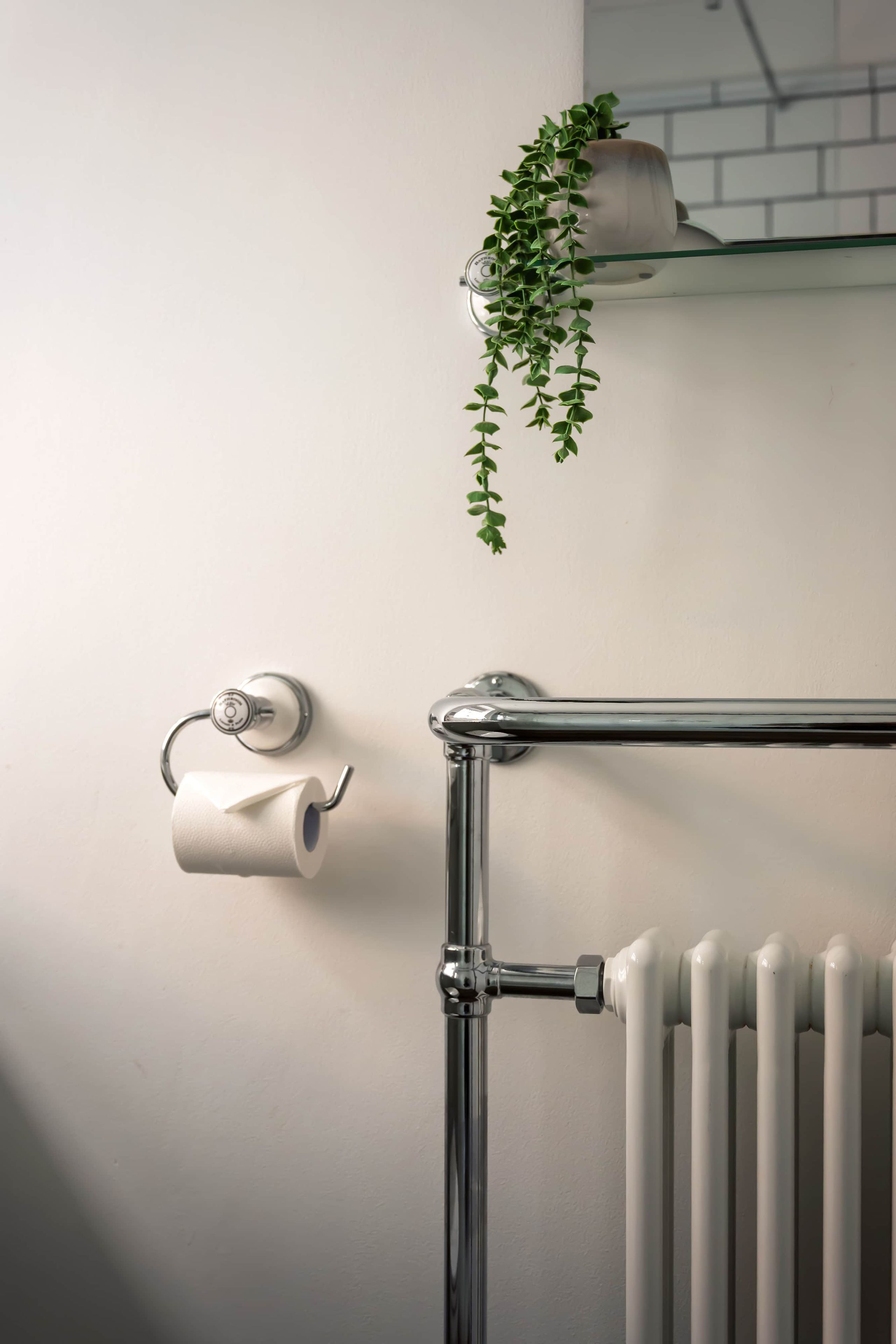 A bathroom with a toilet paper holder, a radiator, and a hanging plant.