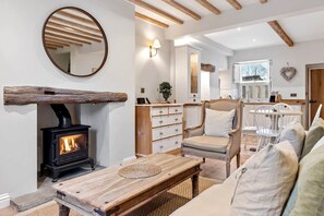 Smart TV, chimenea y libros 
