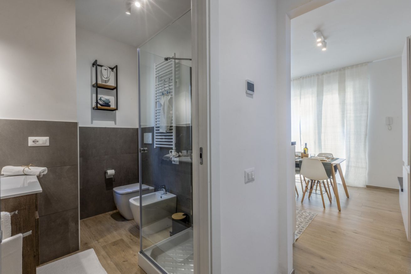 Shower, hair dryer, bidet, towels