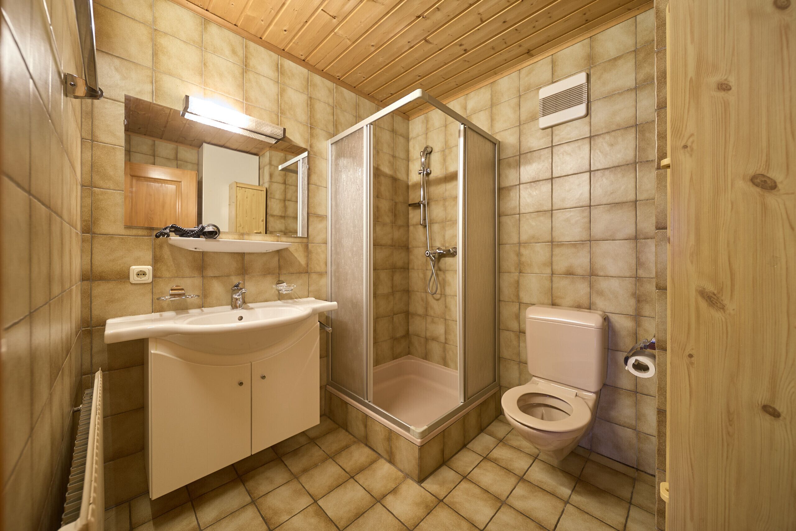 Dusche, Haartrockner, Toilettenpapier