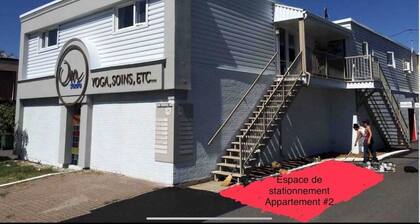 Bel appartement, centre-ville Victoriaville (app2)