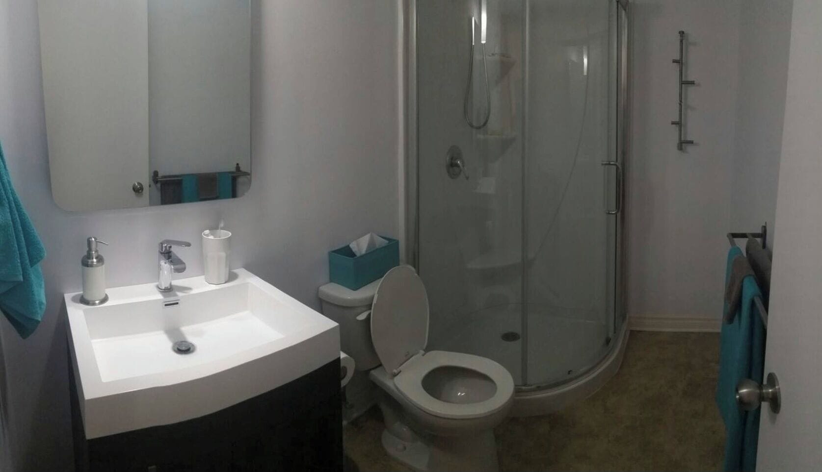 Regadera, secadora de cabello, toallas, papel de baño 