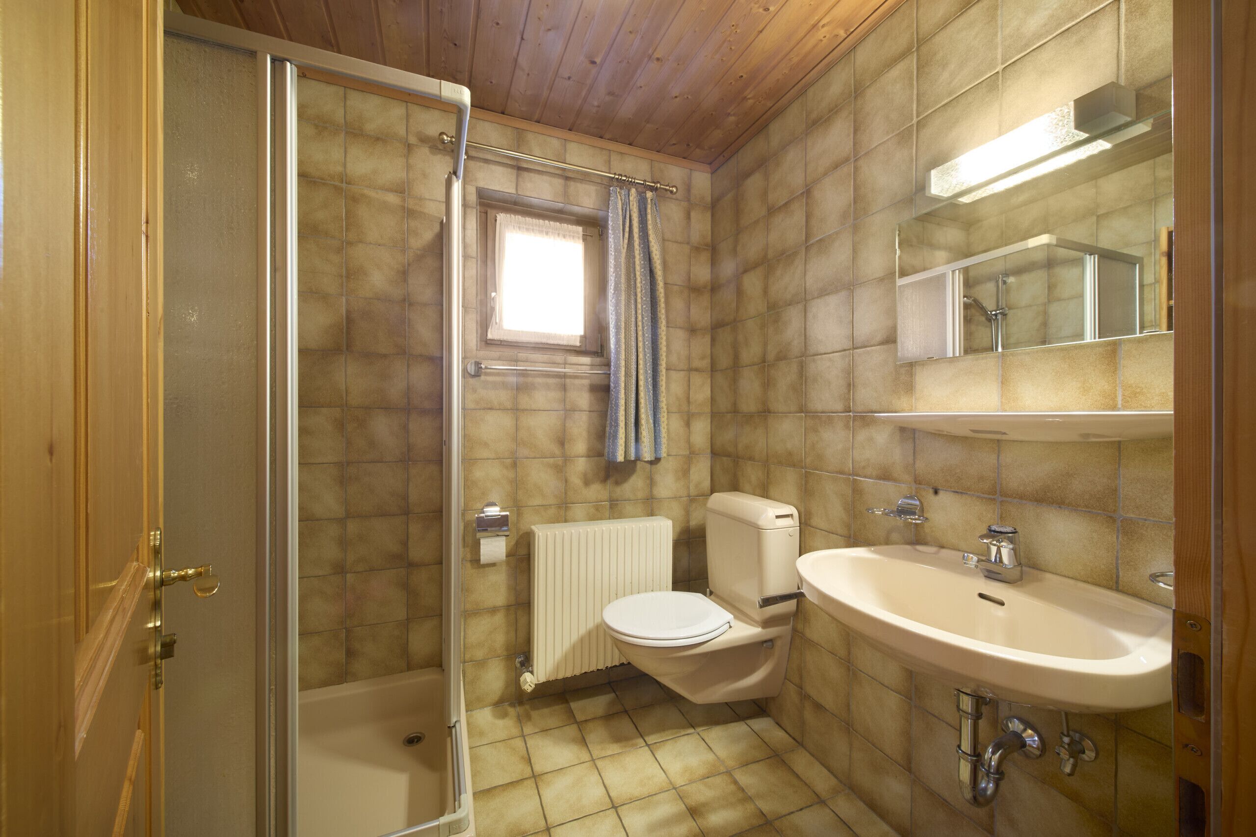 Shower, hair dryer, toilet paper