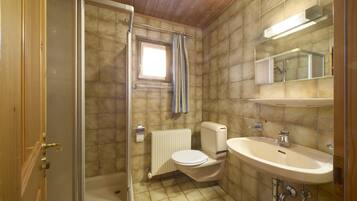 Shower, hair dryer, toilet paper
