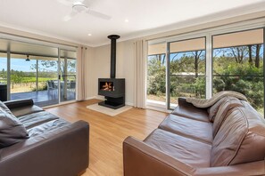 Televisión, chimenea