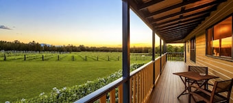 Shiraz Homestead | Vineyard View