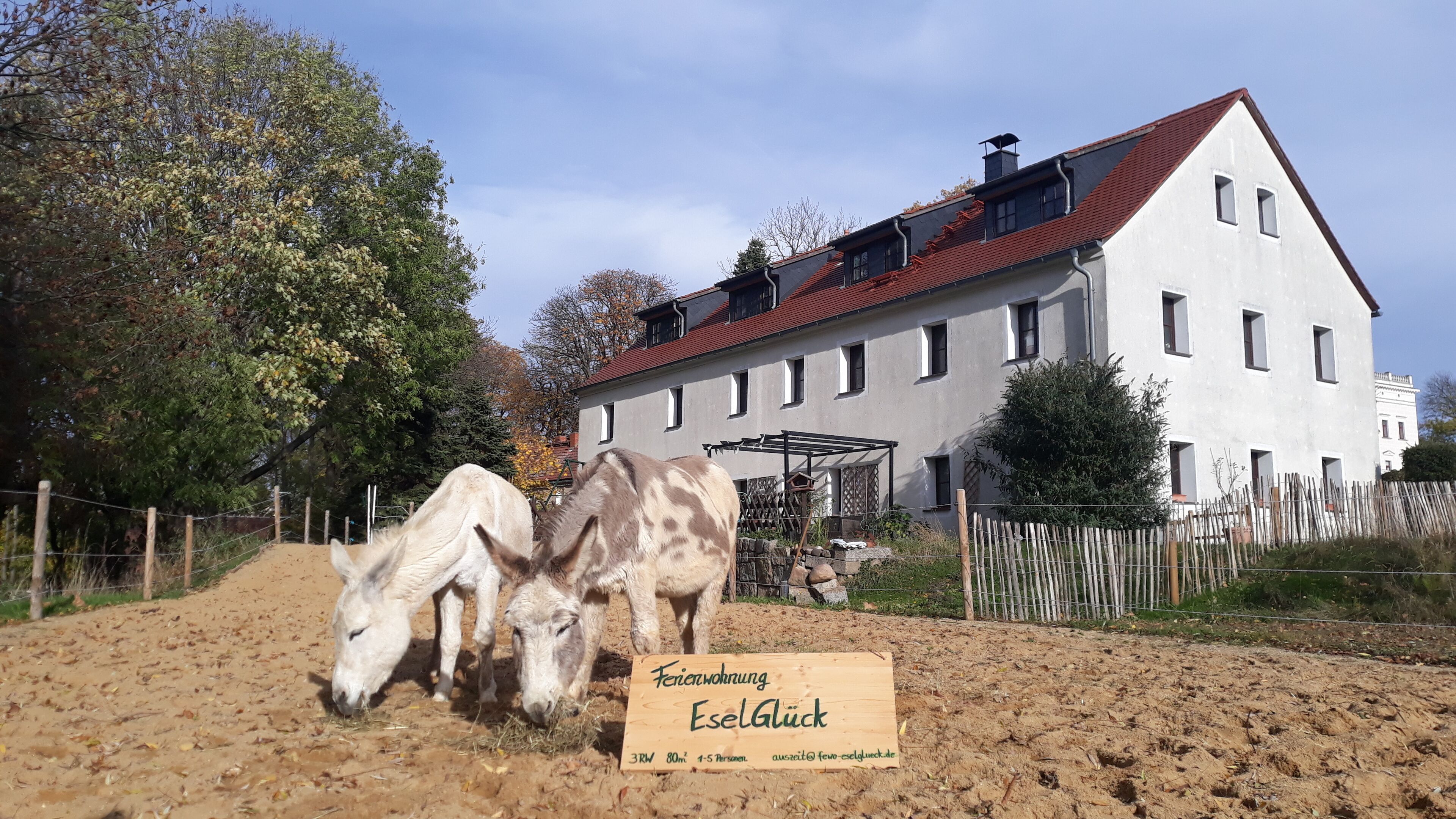 Gartenbereich mit Eselgelände