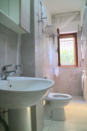 Shower, hair dryer, bidet, towels