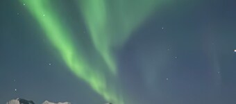 Cozy rooms, fjord views, and free vegan breakfast