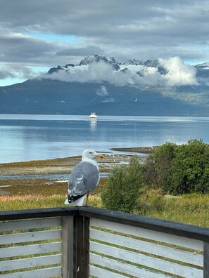 المنطقة المحيطة بالمنشأة