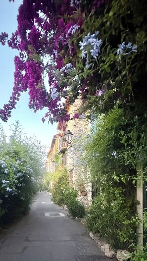 Property grounds - Boho Nest charming apartment in Antibes Old Town (Antibes)
