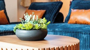 A round wooden coffee table with a black bowl containing green plants, placed in front of a blue sofa with orange cushions. - Summit Haus  Cozy Getaway in the Poconos (Pocono Summit)