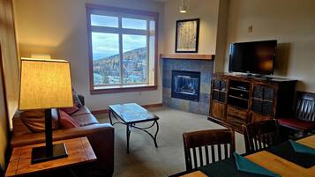 TV, fireplace, books