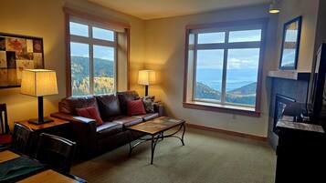 TV, fireplace, books