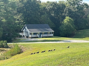 Exterior - Lake House | By Marina | Farm View | HotTub | Pond (Somerset)
