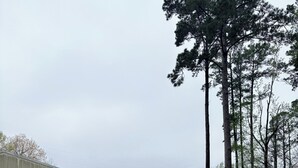 A gravel area with a building, a wooden fence, and tall trees. - Lake front hideaway with spectacular views. (Hemphill)