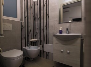 Douche, sèche-cheveux, bidet, serviettes fournies