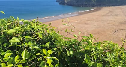 Cosy, Coastal Cottage, Seasonal Heated Outdoor Pool, FootGolf, Games Field, Playframe, Scalextric.