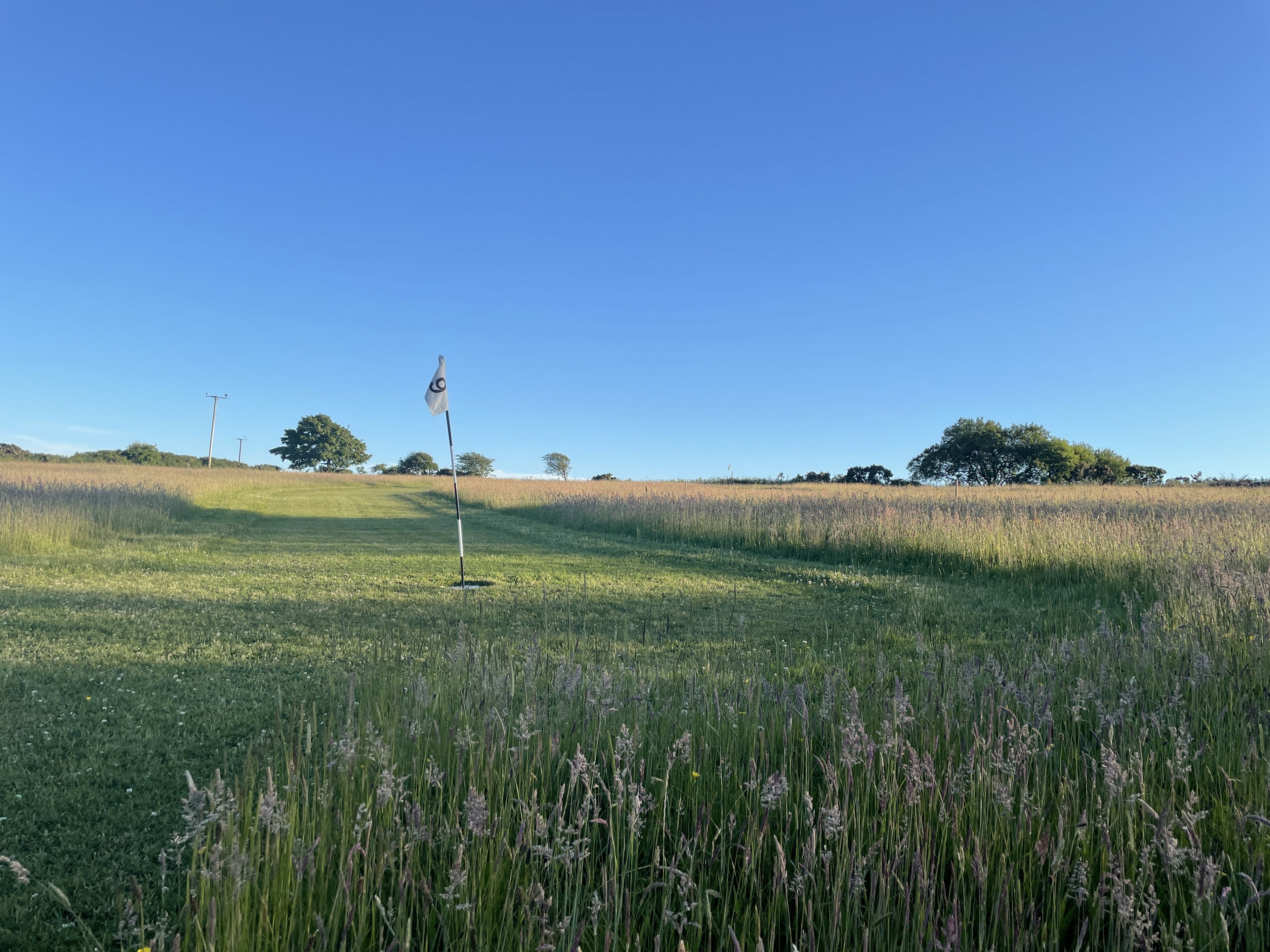 A golf course with a flagstick in the foreground, a clear blue sky, and a grassy field with trees in the background.
