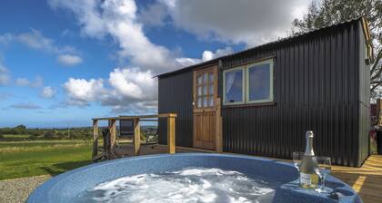 Romantic, cosy, shepherd's hut - log burner, hot tub, fire pit. Dogs welcome, heated outdoor pool