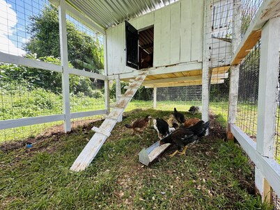 Farmhouse Retreat on 85-acre tea Estate - 2331