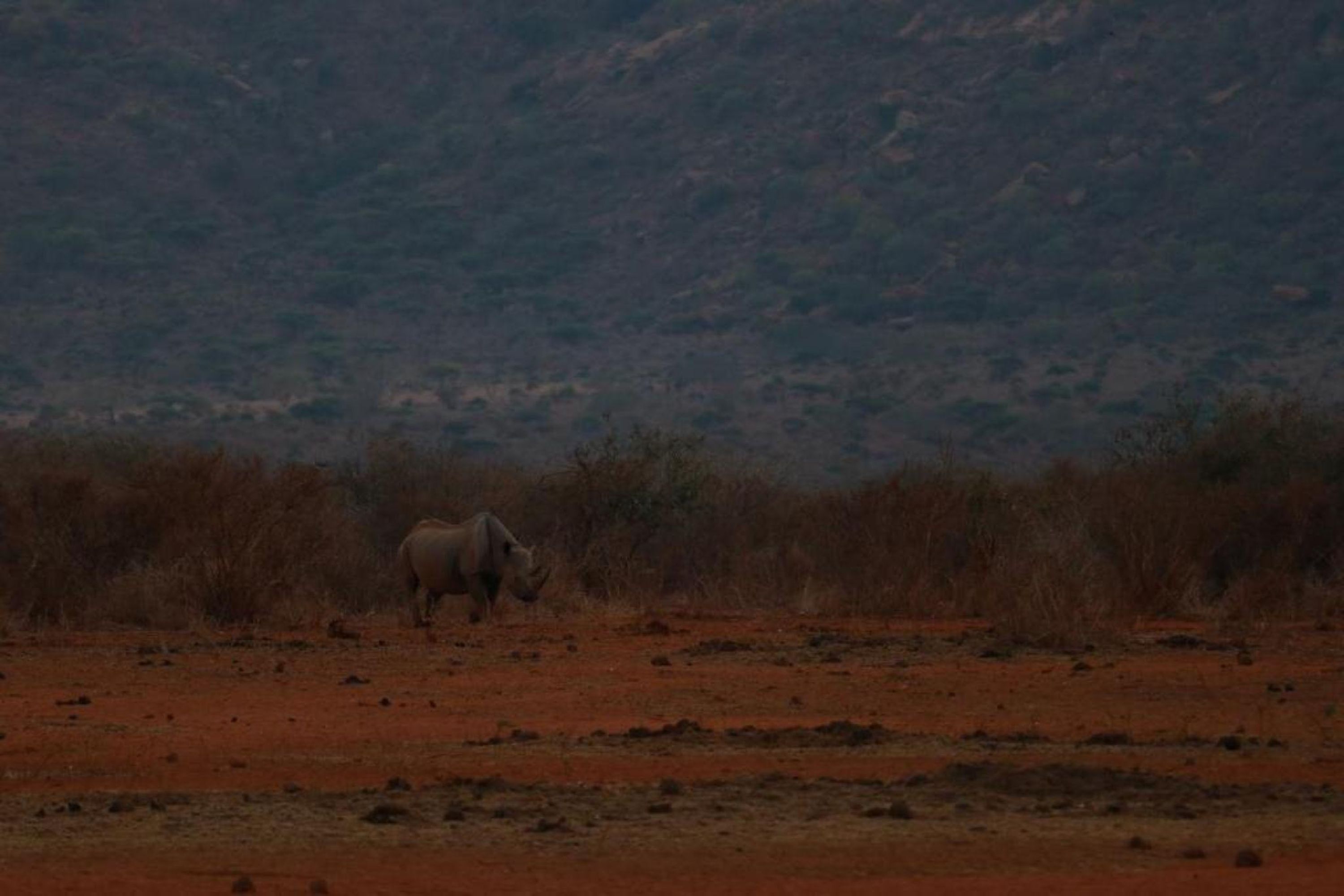 Huoneisto | 1 makuuhuone
