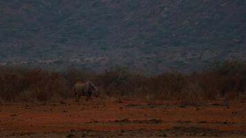 Huoneisto | 1 makuuhuone