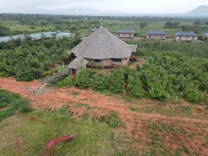 A thatched-roof house surrounded by lush greenery and a small water body.