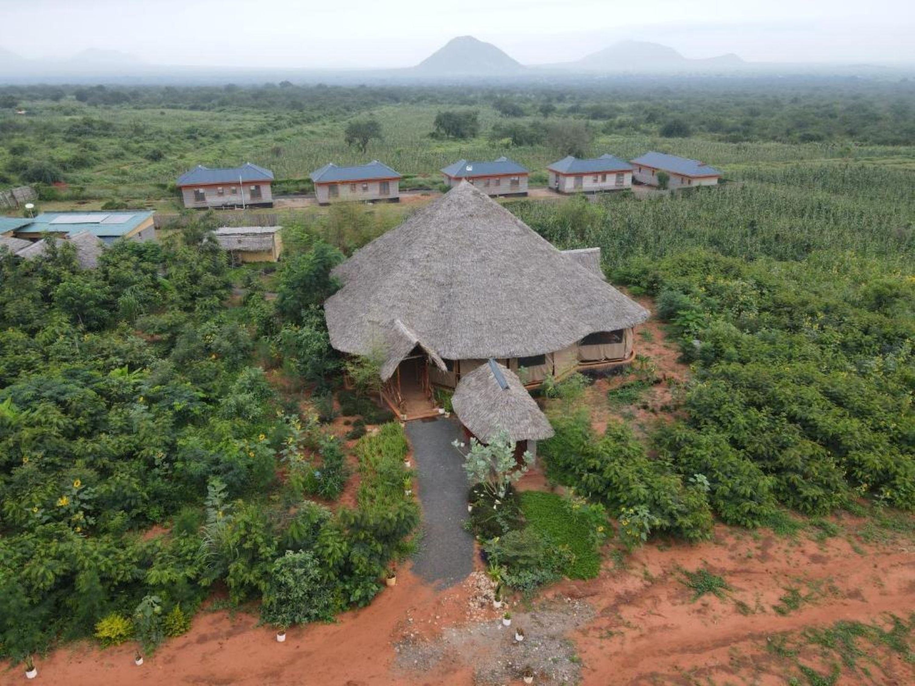 A thatched-roof structure surrounded by lush greenery and a few modern buildings in the background.