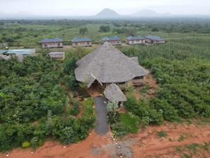A thatched-roof structure surrounded by lush greenery and a few modern buildings in the background.