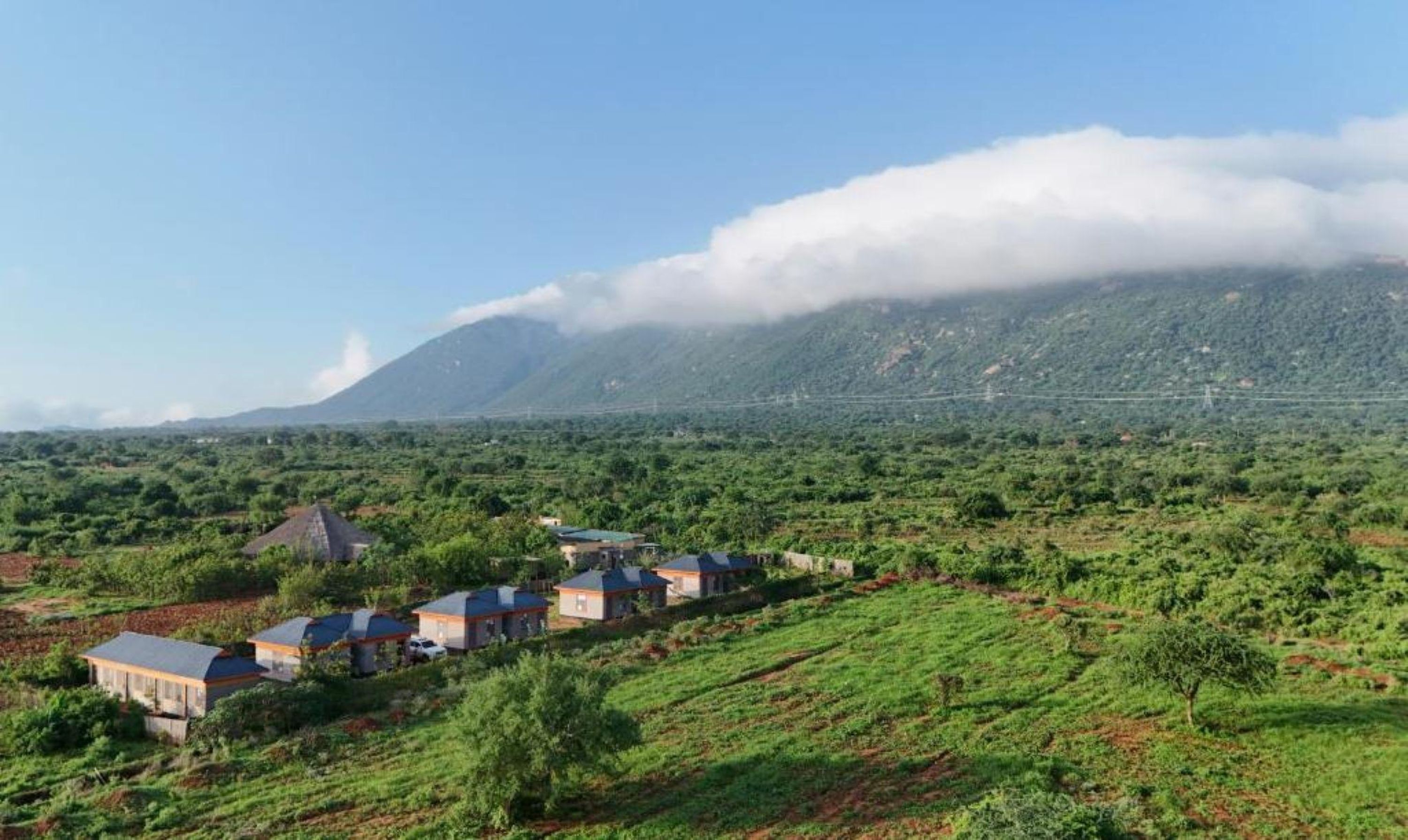 Apartamento | 1 quarto