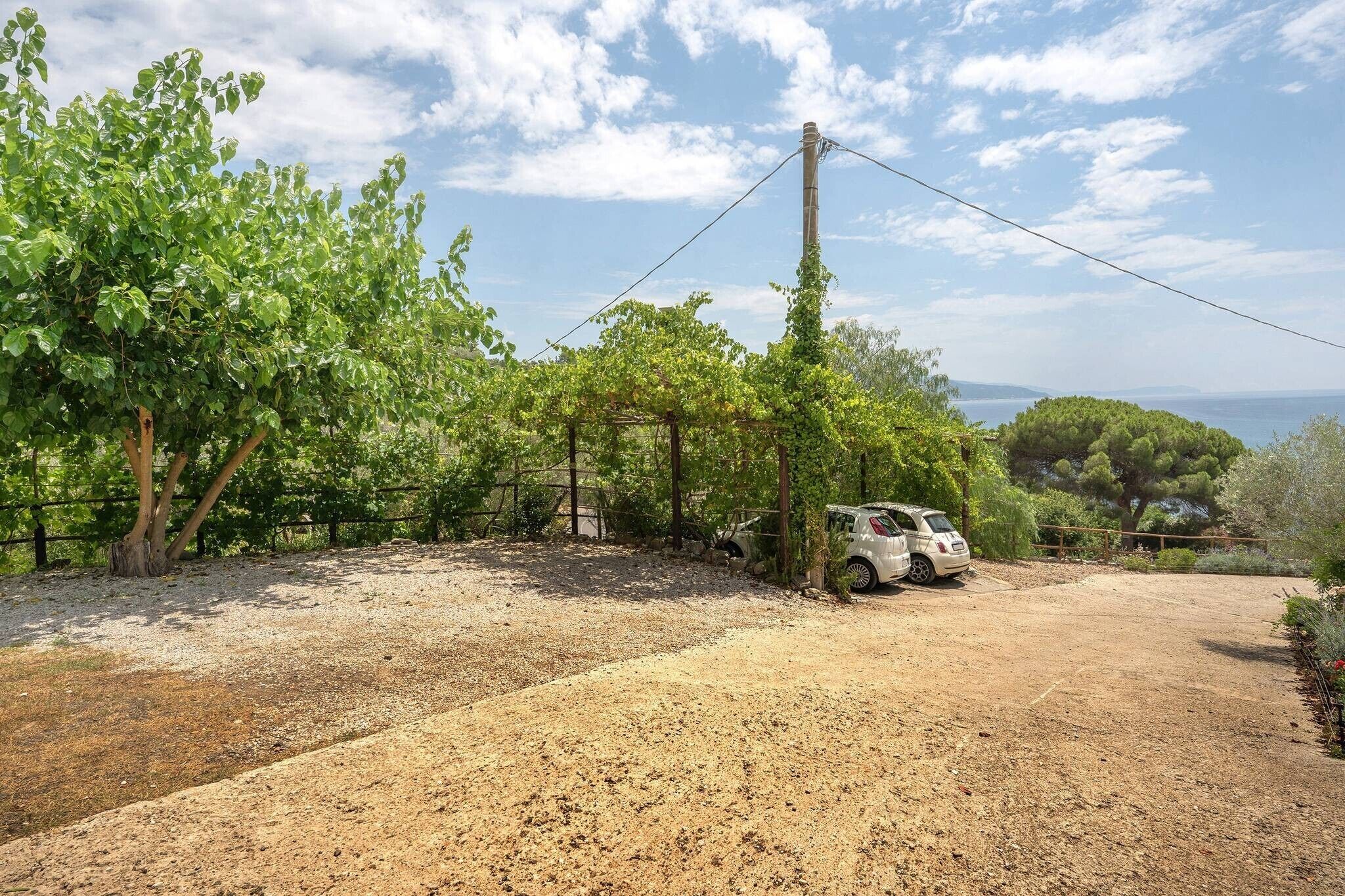 A gravel driveway with a parked car, trees, and a clear sky.