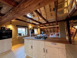 Kühlschrank, Ofen, Herdplatte, Geschirrspüler