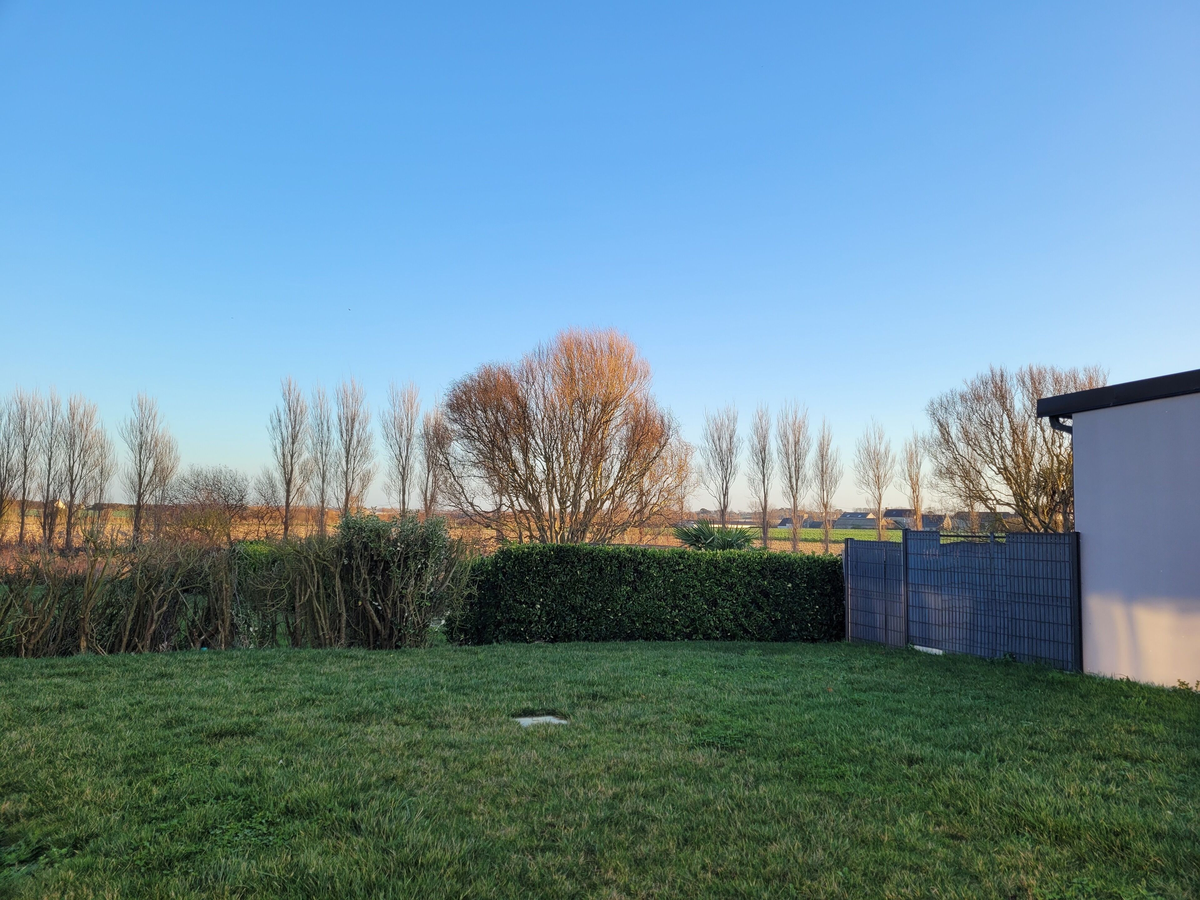 Ein grünes Areal im Freien mit einem weißen Gebäude, einer Hecke und einem Baumwipfelmeer im Hintergrund.