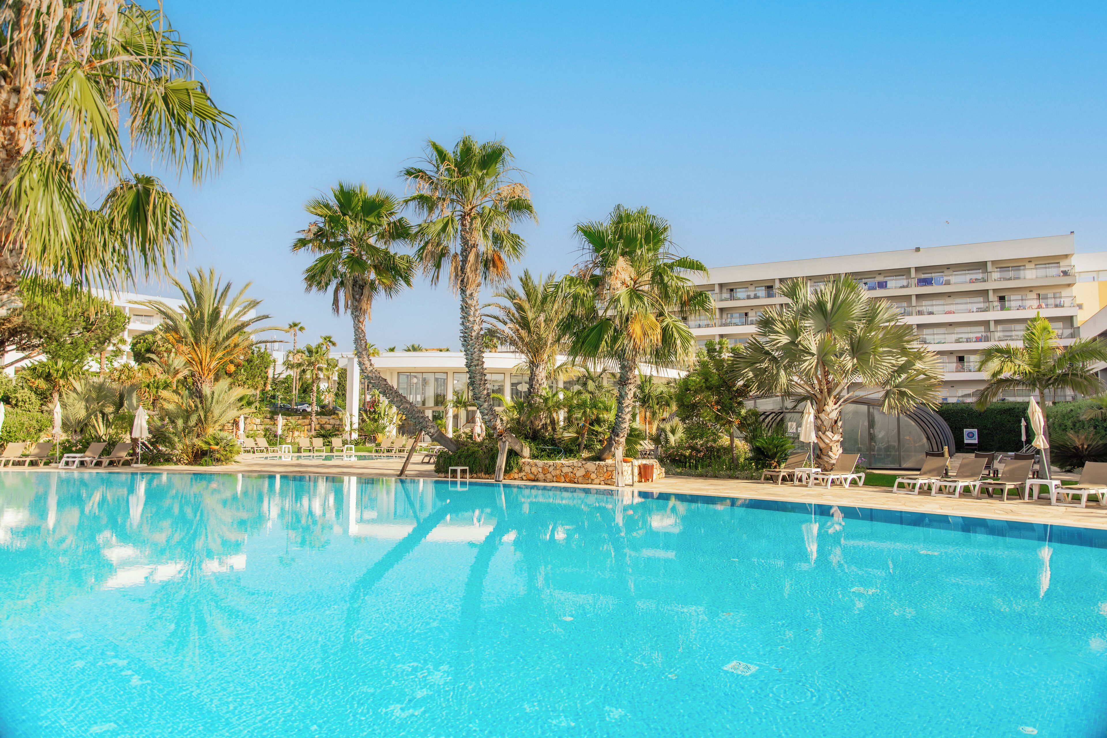 Une piscine entourée de chaises longues et de palmiers, le tout bordé d’un bâtiment doté de balcons.