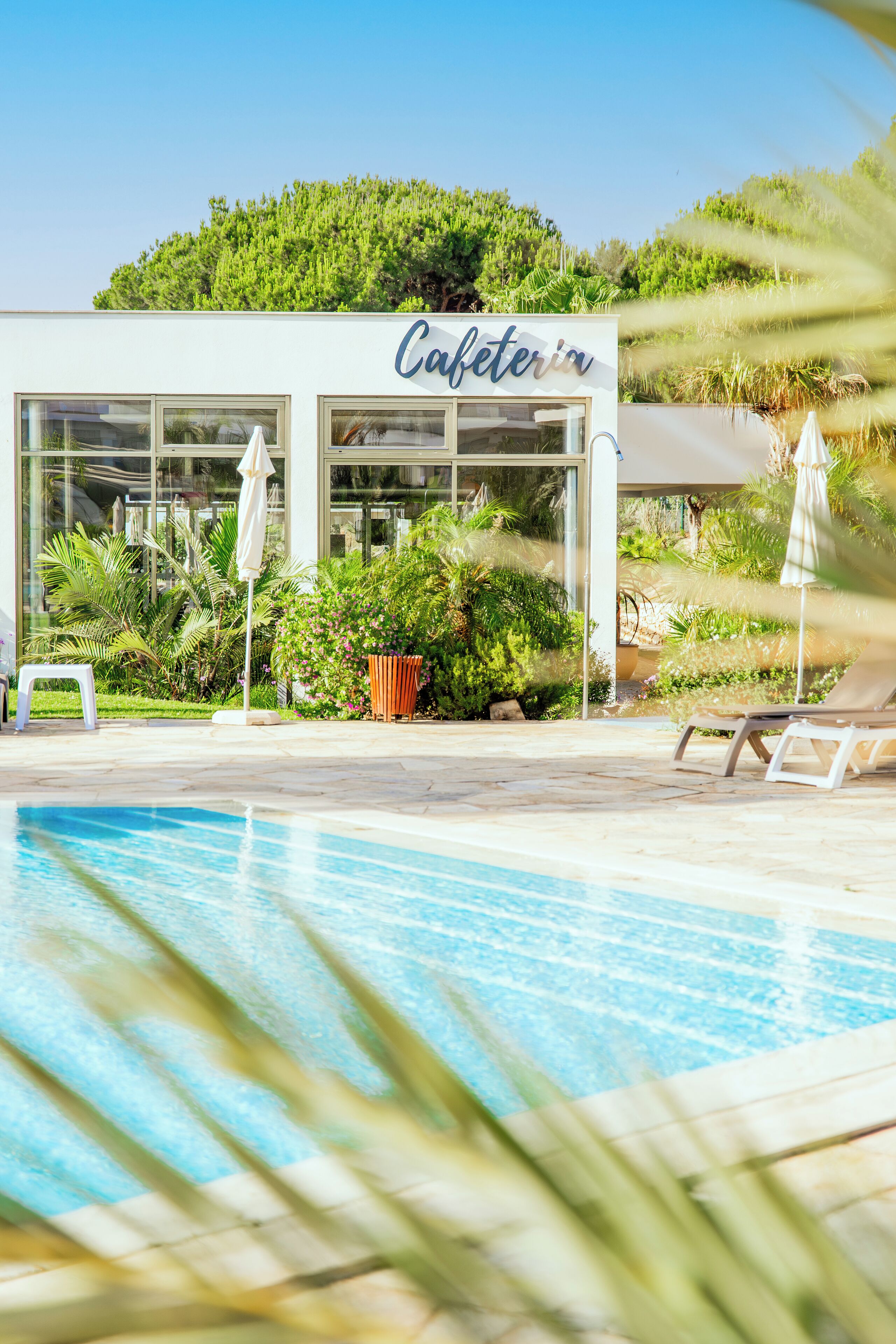 Zona de piscina con un edificio que dice "Cafetería" y mobiliario para exteriores.