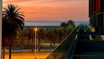 Vista desde la propiedad