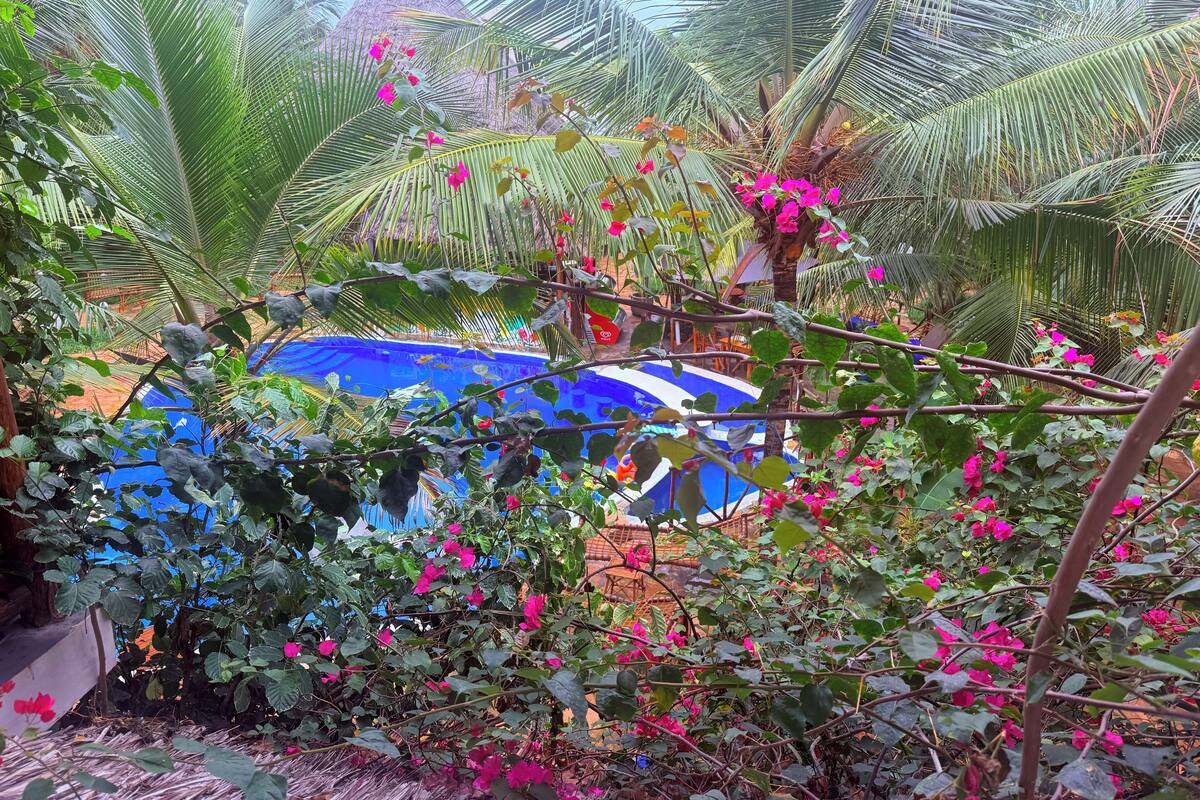 Zona de piscina rodeada de exuberante vegetación y flores rosadas.