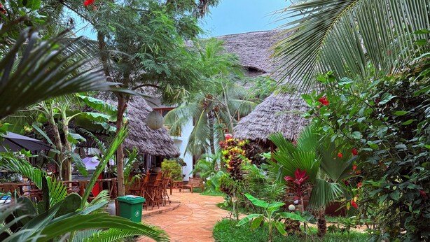 A stone pathway leading through a lush garden with tropical plants and thatched-roof structures. - Oasis Nungwi (Nungwi)