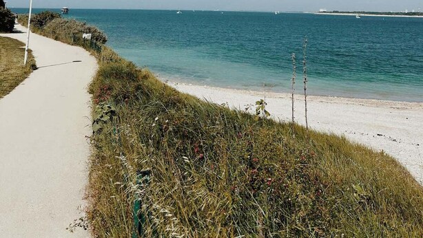 A coastal path leading to a beach with clear blue water and a few boats in the distance. - Atelier Marin (La Rochelle)
