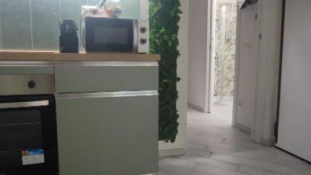 A kitchen with a microwave, oven, and a potted plant. - SageGreən Flat (Genova)