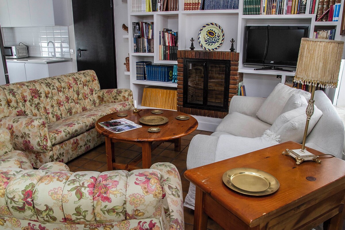 A living room with a sofa, armchair, coffee table, fireplace, bookshelf, and television.