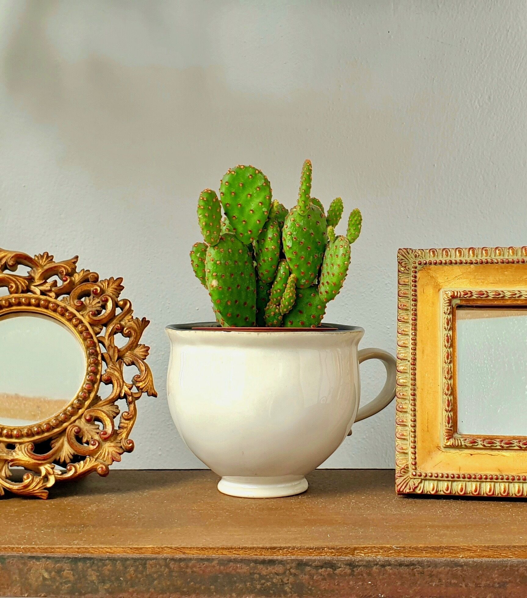 Una taza de cerámica blanca con una planta de cactus sobre una repisa.