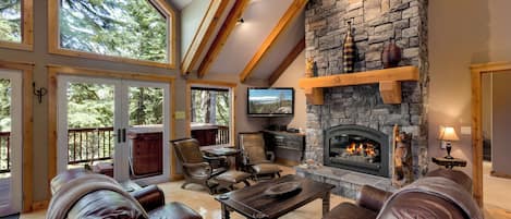 TV connectée, cheminée, lecteur de DVD, livres