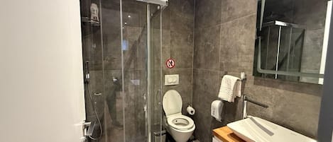 A modern bathroom with a glass-enclosed shower, a toilet, and a sink with a mirror above it.