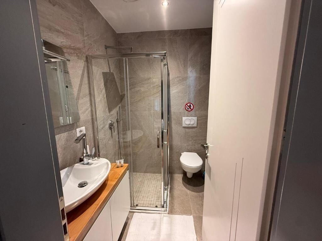A modern bathroom with a glass shower enclosure, a white sink, and a toilet.