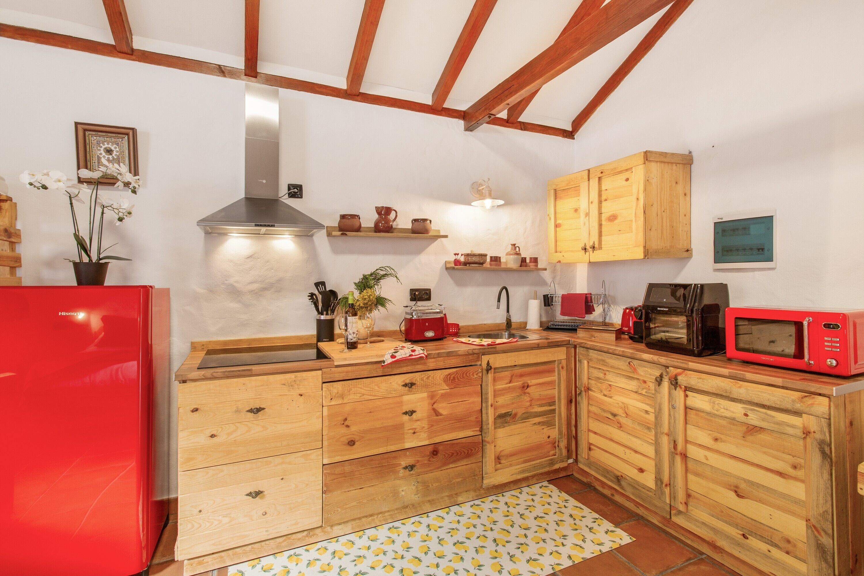 Een koelkast, een magnetron, een kookplaat