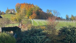 Une vue depuis un espace abrité, avec un mur de pierre et de la verdure, un bâtiment éloigné et des arbres aux feuilles d’automne.