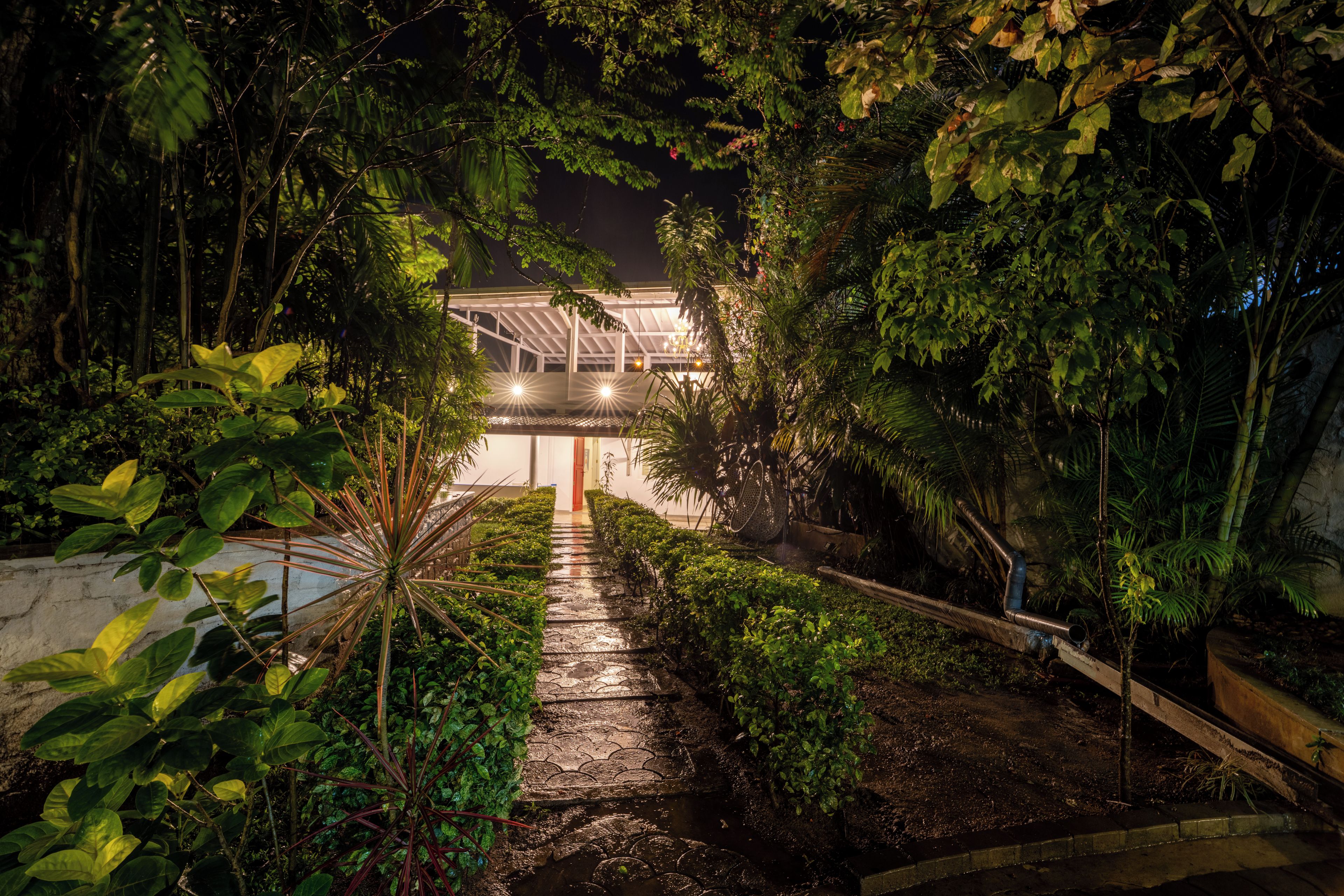 A pathway leading to a building with a glass roof, surrounded by dense foliage.